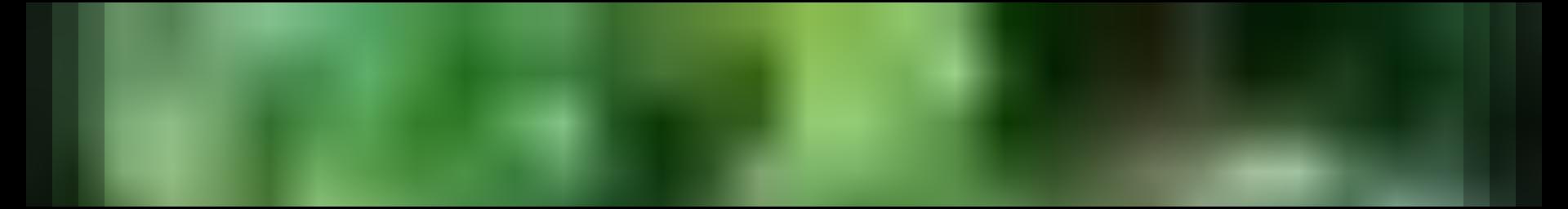 Decorative site banner