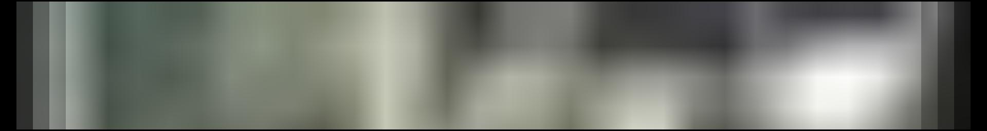 Decorative site banner