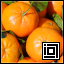 Project icon